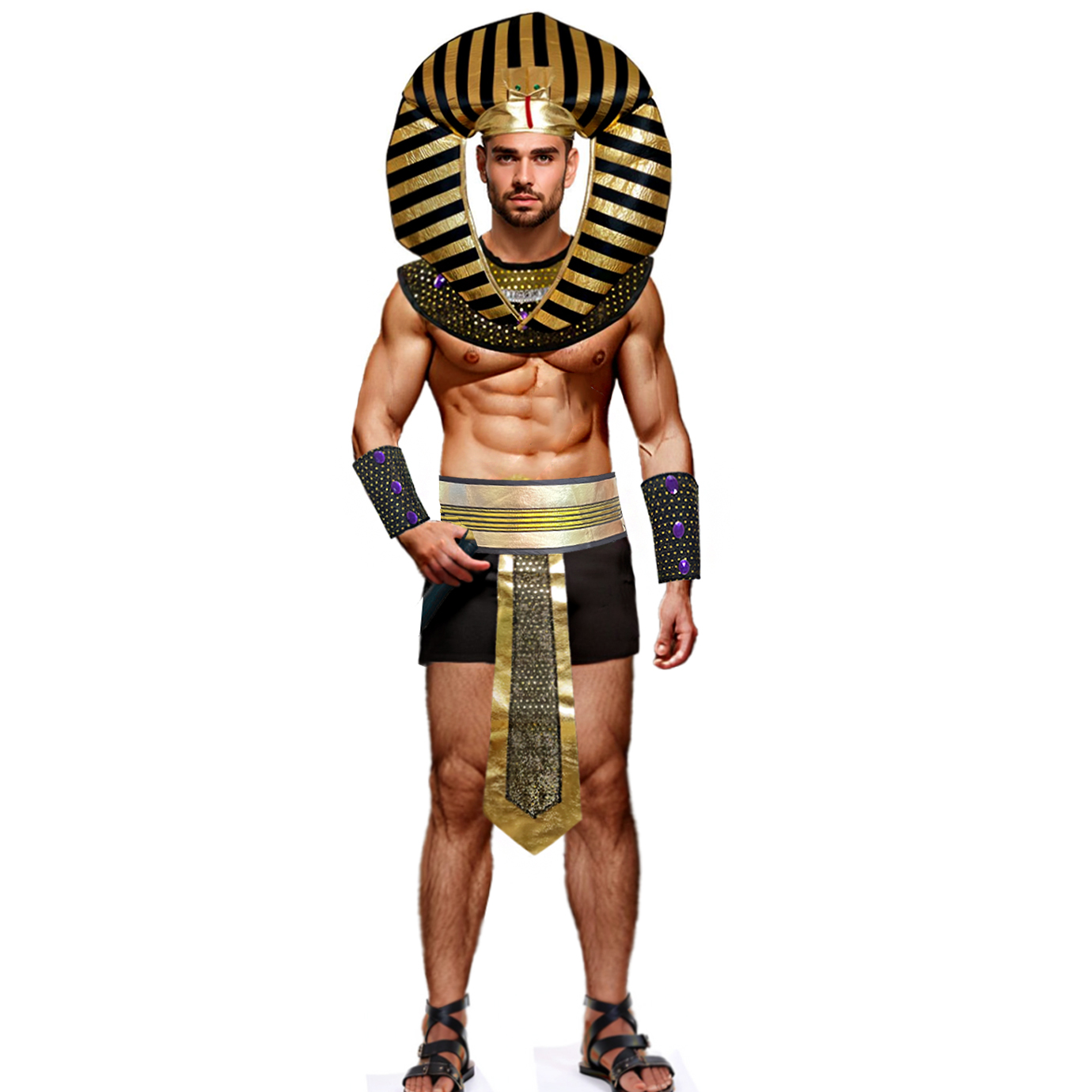 Costume de carnaval pour homme - Men Accessories Egypt avis et prix