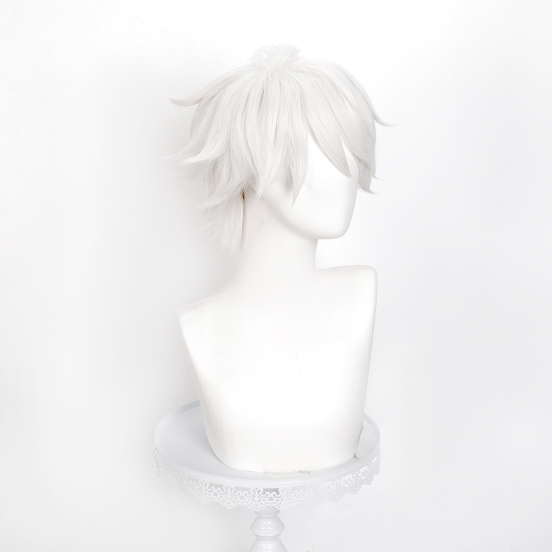 Perruque de cosplay Anime Witc - Men Accessories In Silver avis et prix