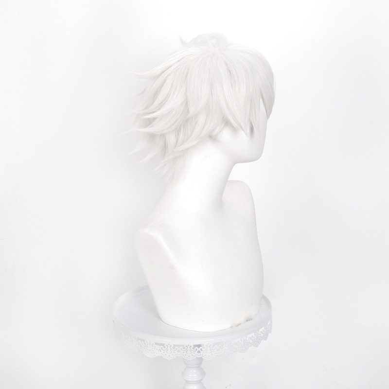 Perruque de cosplay Anime Witc - Men Accessories In Silver avis et prix